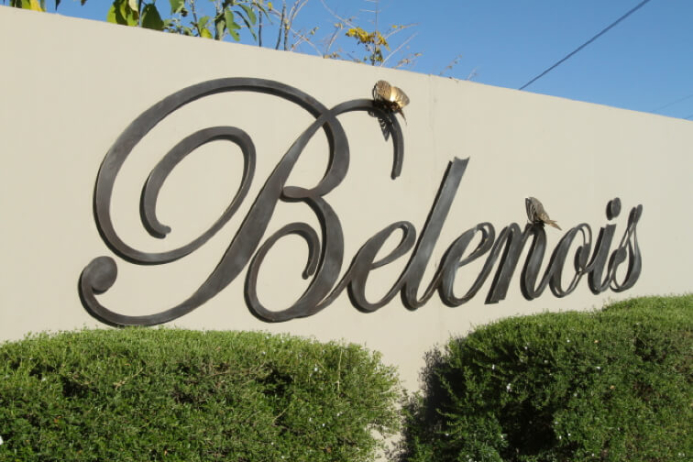 Belenois-gallery-1
