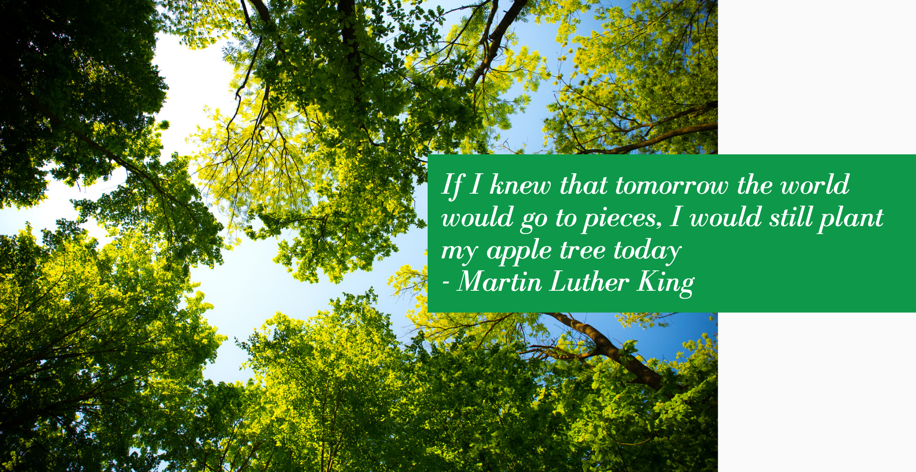 Martin Luther King Jr qoute