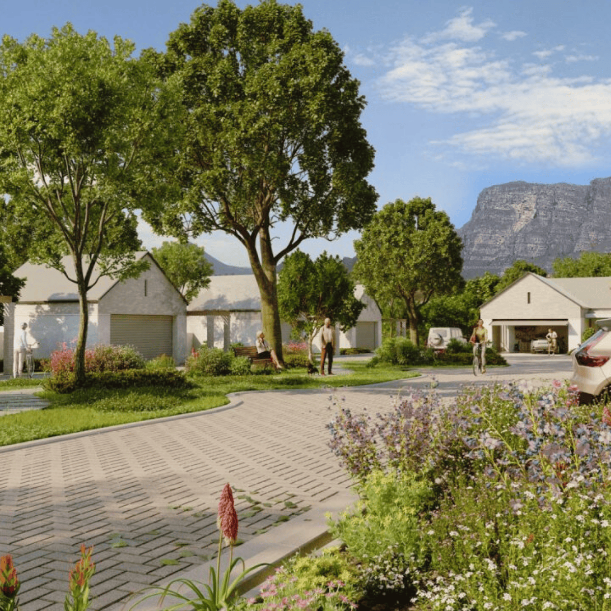Oasis Life at Constantia