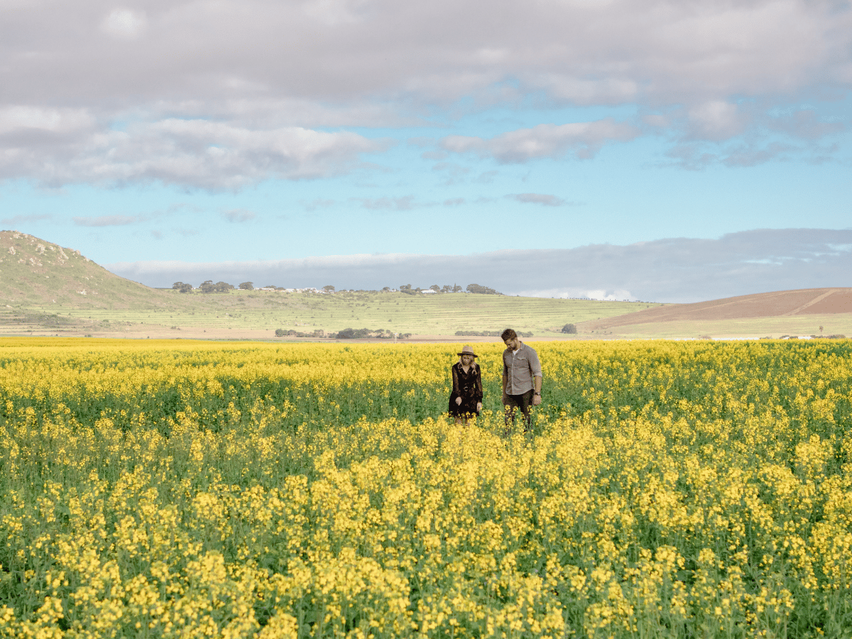 West Coast landscape at Darling Green Country Estate