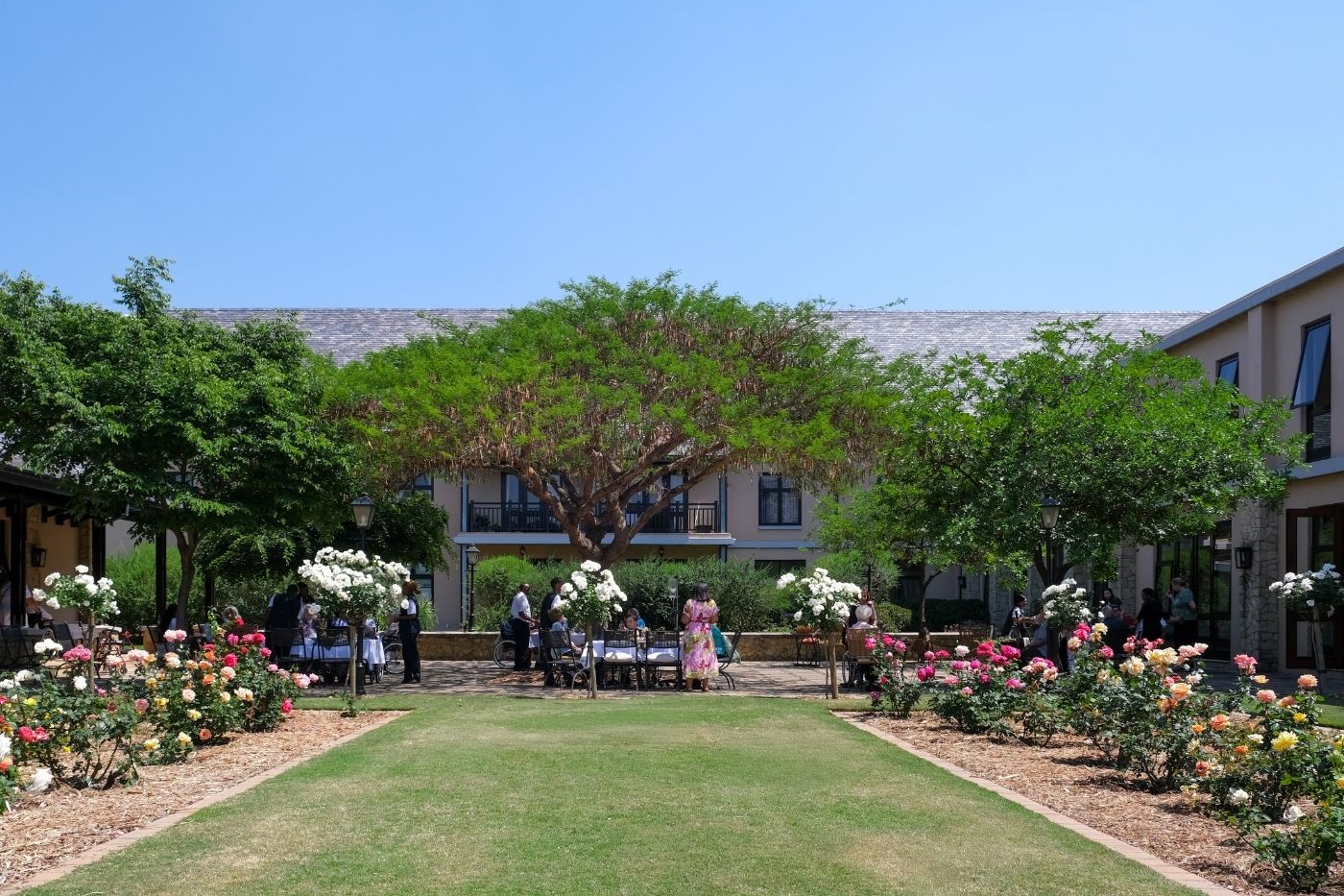 Residents enjoying a welcoming dining experience at Waterfall Hills Mature Lifestyle Estate